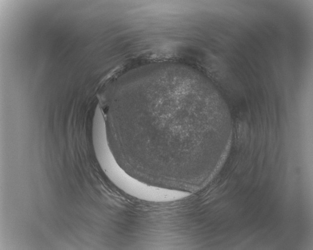 X0000056331250200509232004