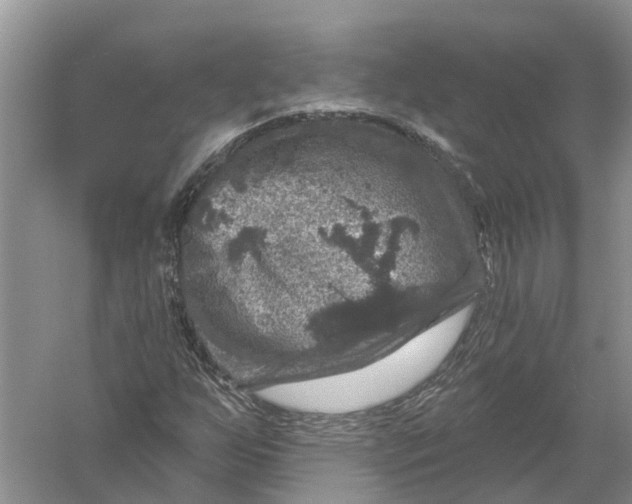 X0000056331255200509232003