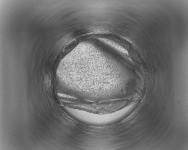 X0000056331257200509232003