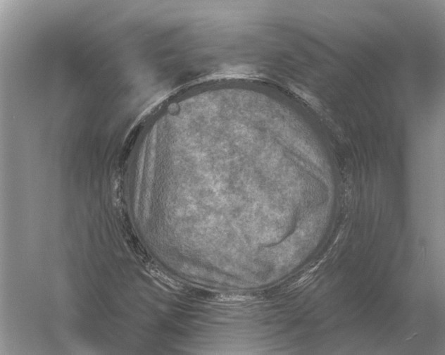 X0000056331258200509232003