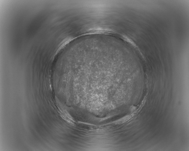 X0000056331259200509232003