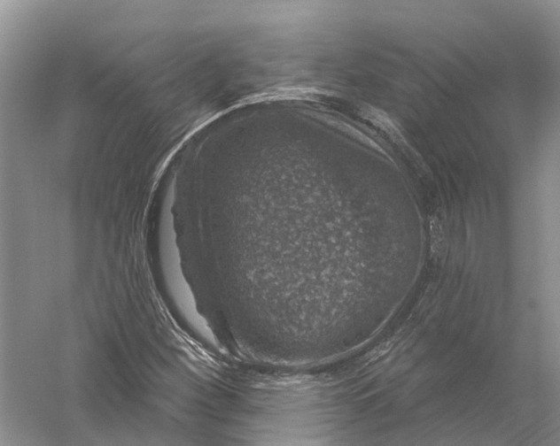 X0000056331260200509232003