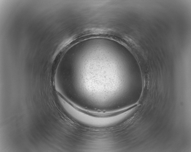 X0000056331261200509232003