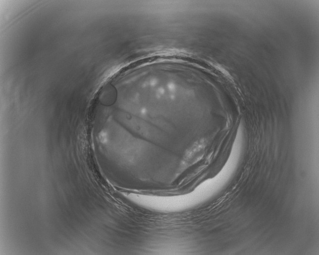 X0000056331263200509232003