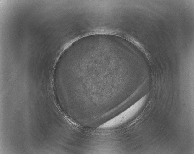 X0000056331264200509232003