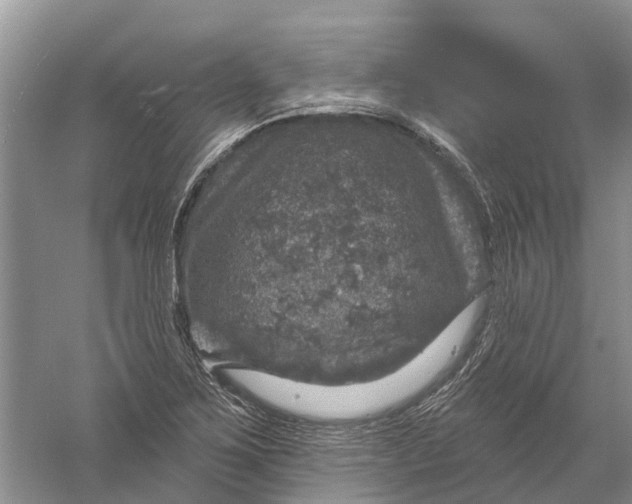 X0000056331267200509232003