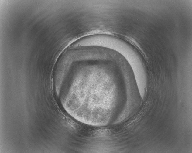 X0000056331268200509232003