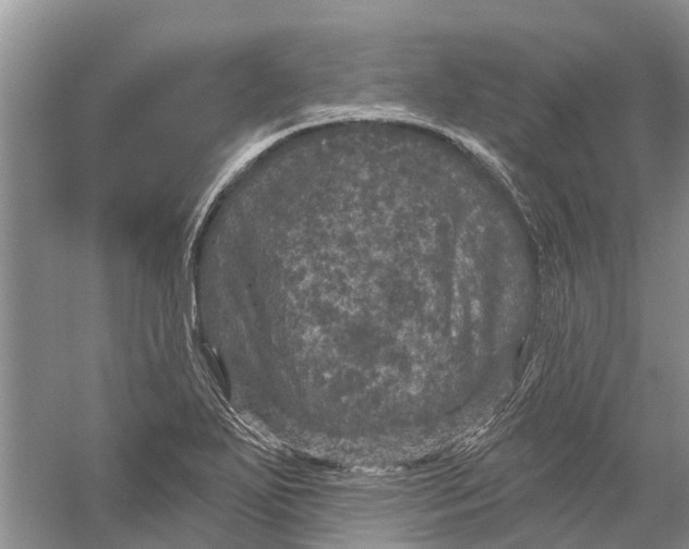 X0000056331271200509232003