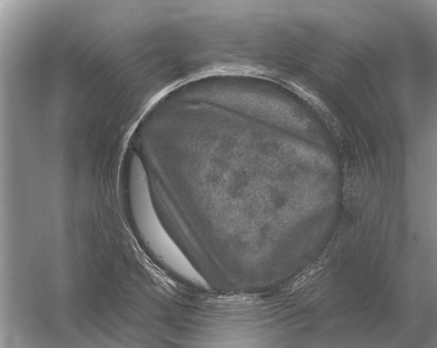 X0000056331272200509232003