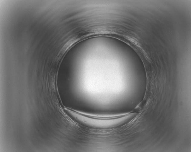 X0000056331273200509232003