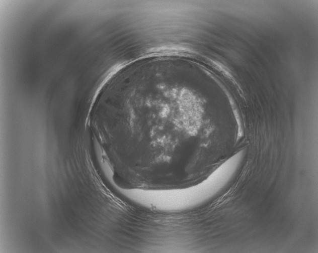 X0000056331275200509232003