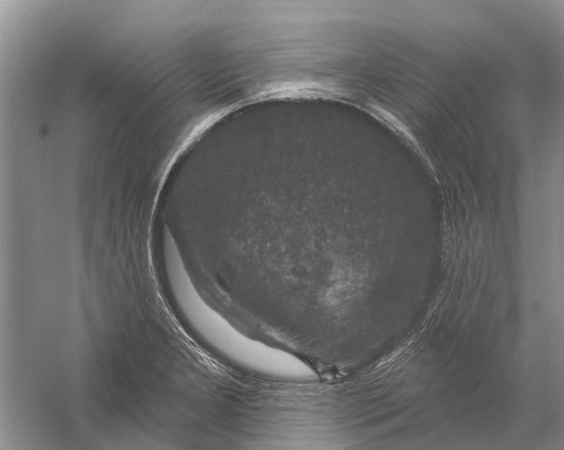 X0000056331277200509232003