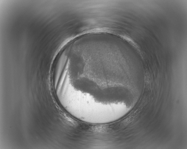 X0000056331278200509232003