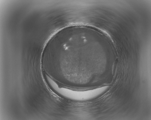 X0000056331279200509232003