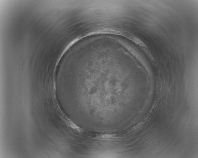 X0000056331280200509232003