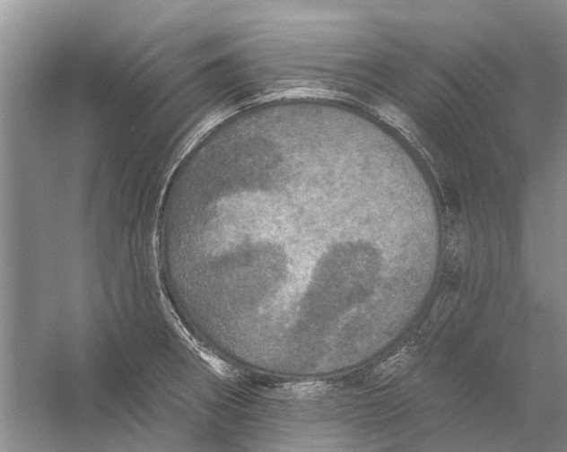 X0000056331282200509232003