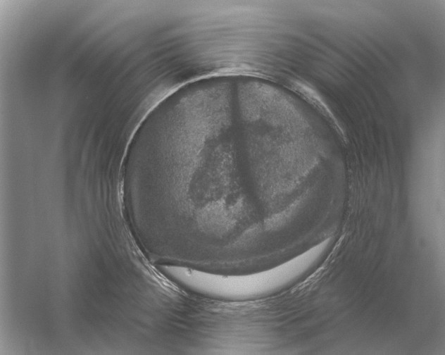 X0000056331284200509232003