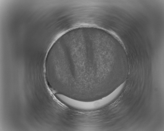 X0000056331287200509232003