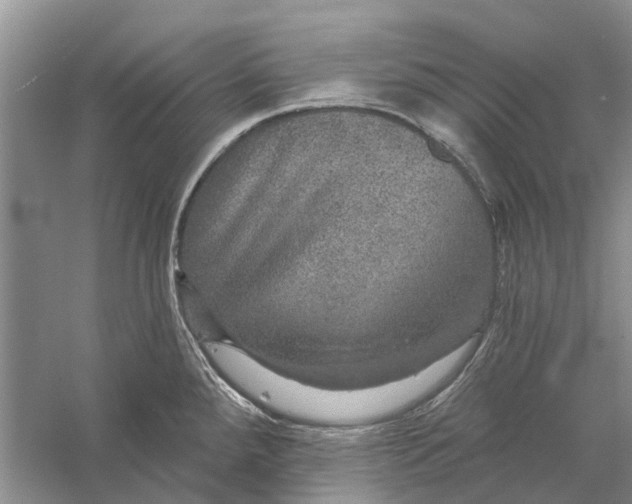 X0000056331288200509232003