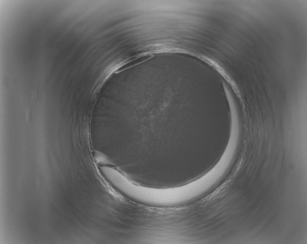 X0000056331289200509232003