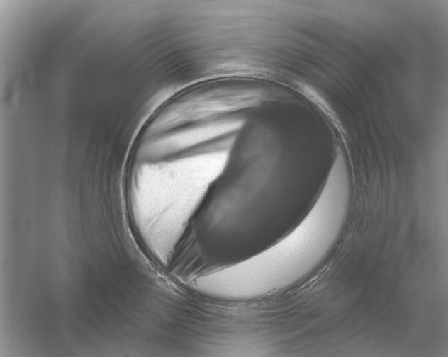 X0000056331291200509232003