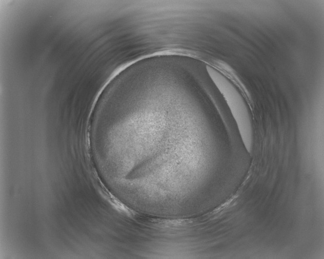 X0000056331292200509232003