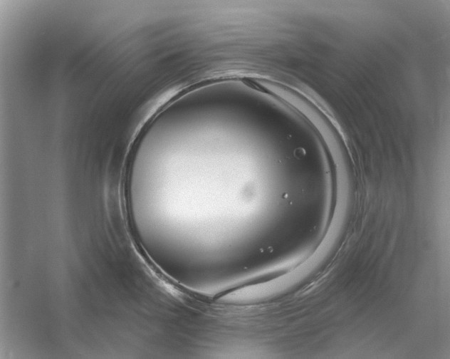 X0000056331293200509232003