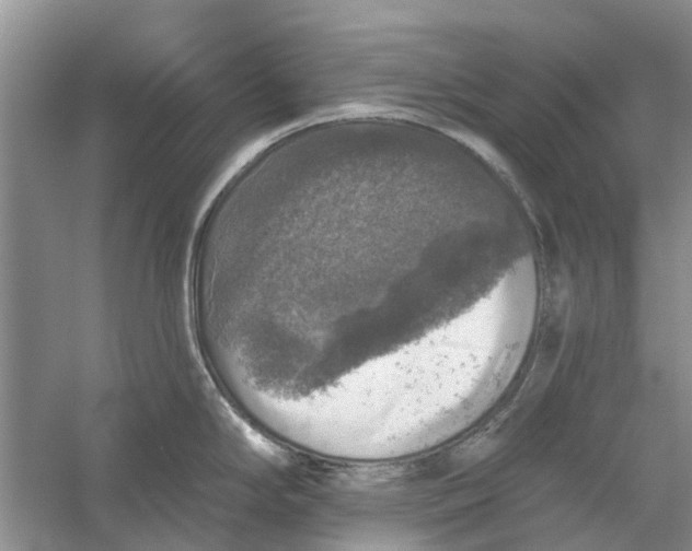 X0000056331294200509232003