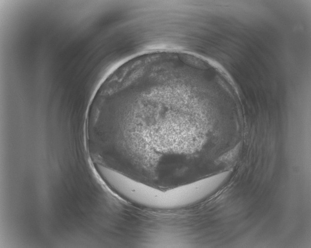 X0000056331295200509232003