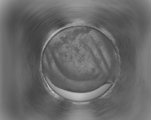 X0000056331296200509232003