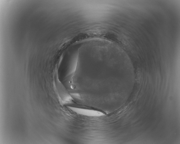 X0000056331297200509232002