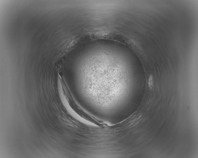 X0000056331299200509232002