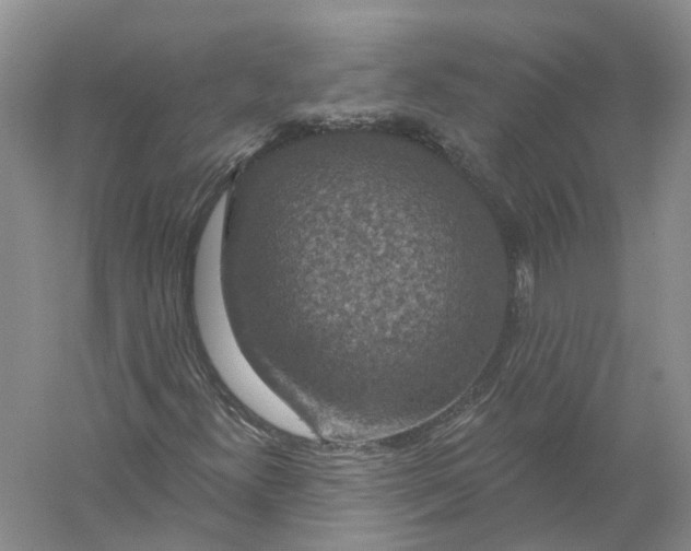 X0000056331300200509232002