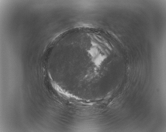 X0000056331303200509232002