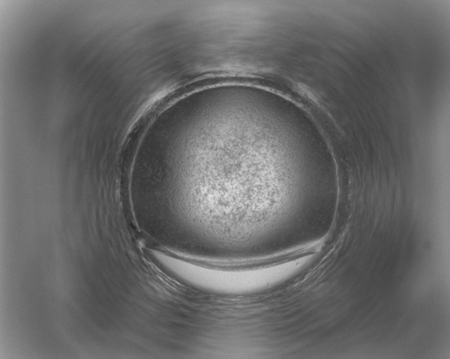 X0000056331307200509232002