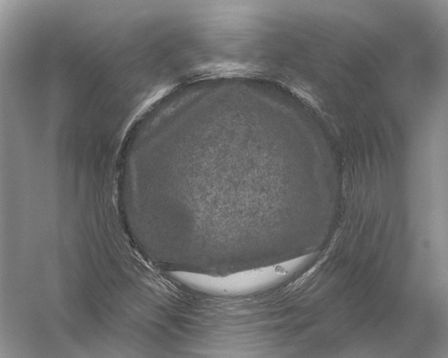 X0000056331309200509232002