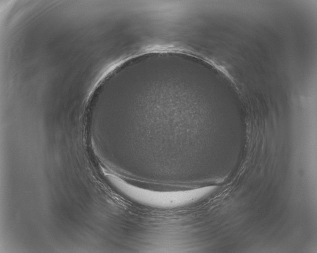 X0000056331311200509232002