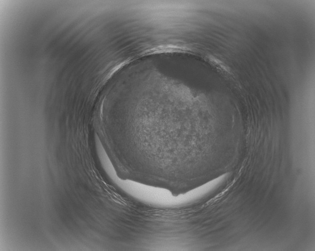 X0000056331313200509232002