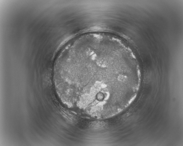 X0000056331314200509232002