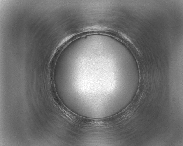 X0000056331315200509232002