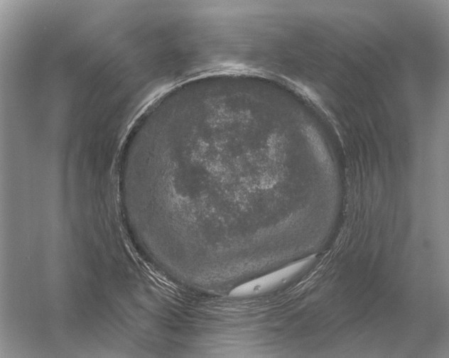 X0000056331318200509232002