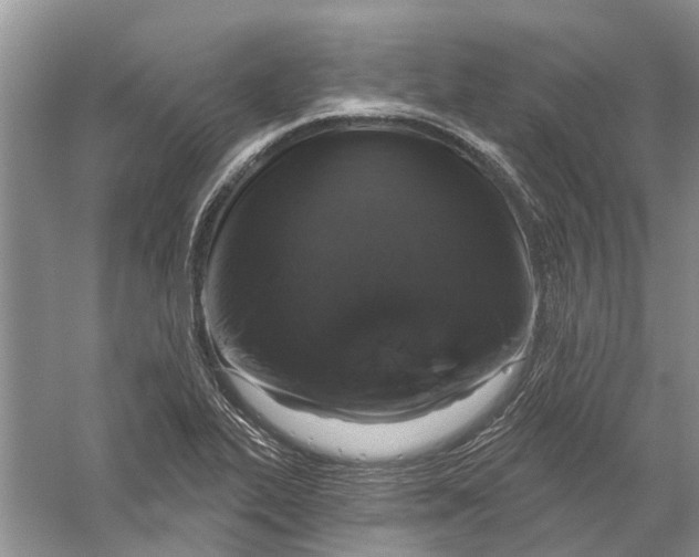 X0000056331319200509232002