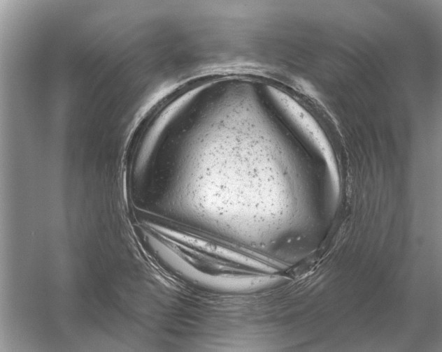 X0000056331320200509232002