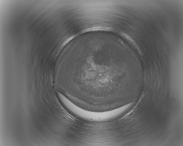 X0000056331321200509232002