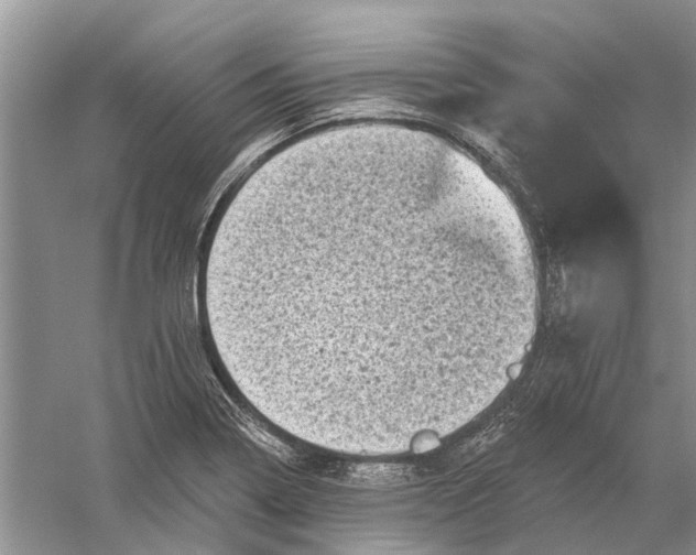 X0000056331322200509232002