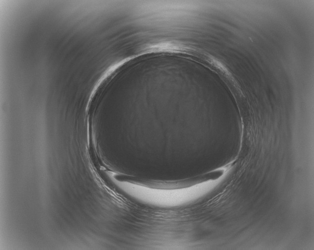 X0000056331323200509232002