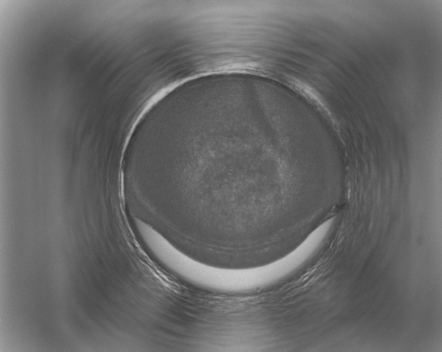 X0000056331324200509232002