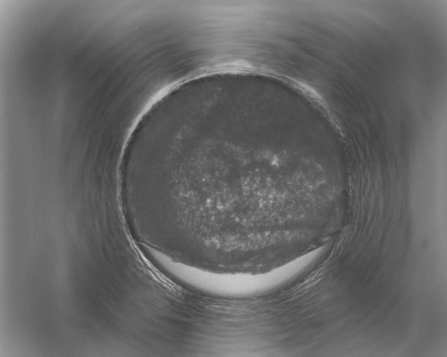 X0000056331326200509232002