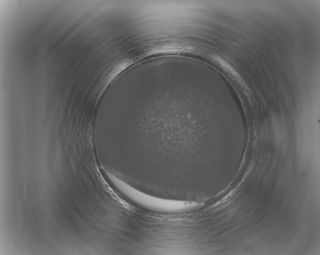 X0000056331329200509232002