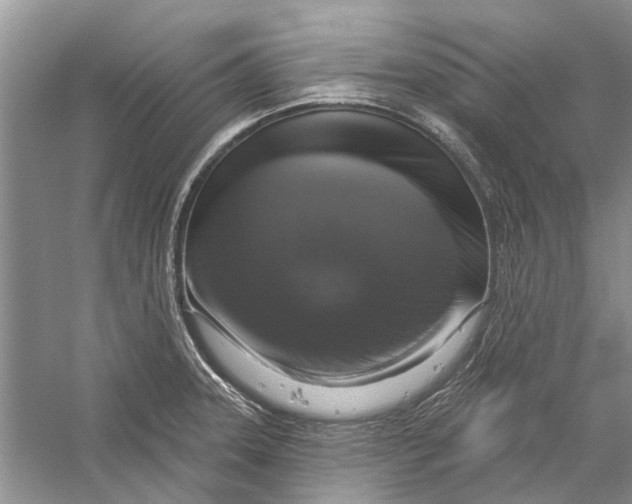 X0000056331331200509232003